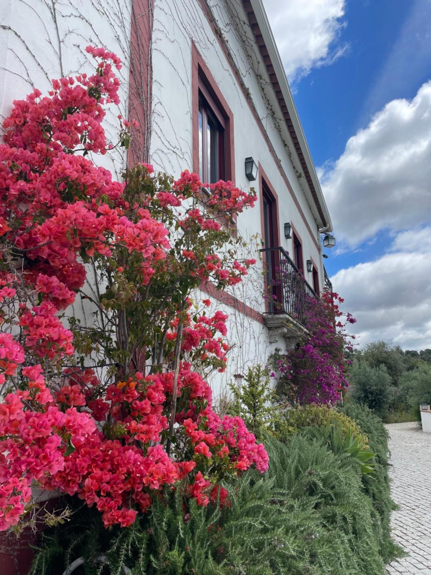 Апартаменты Quinta Da Asneira Монтемор-у-Нову Экстерьер фото