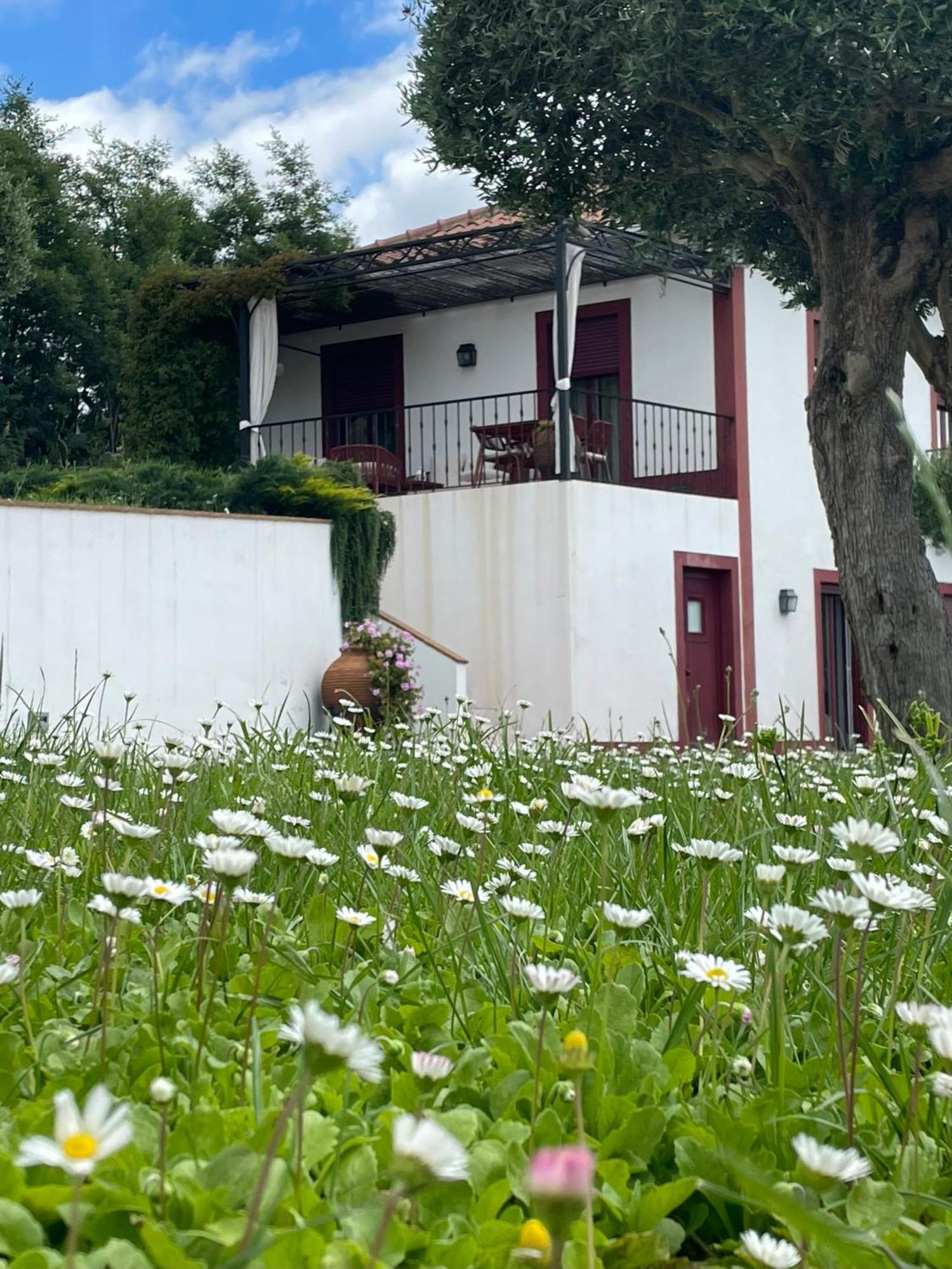 Апартаменты Quinta Da Asneira Монтемор-у-Нову Экстерьер фото
